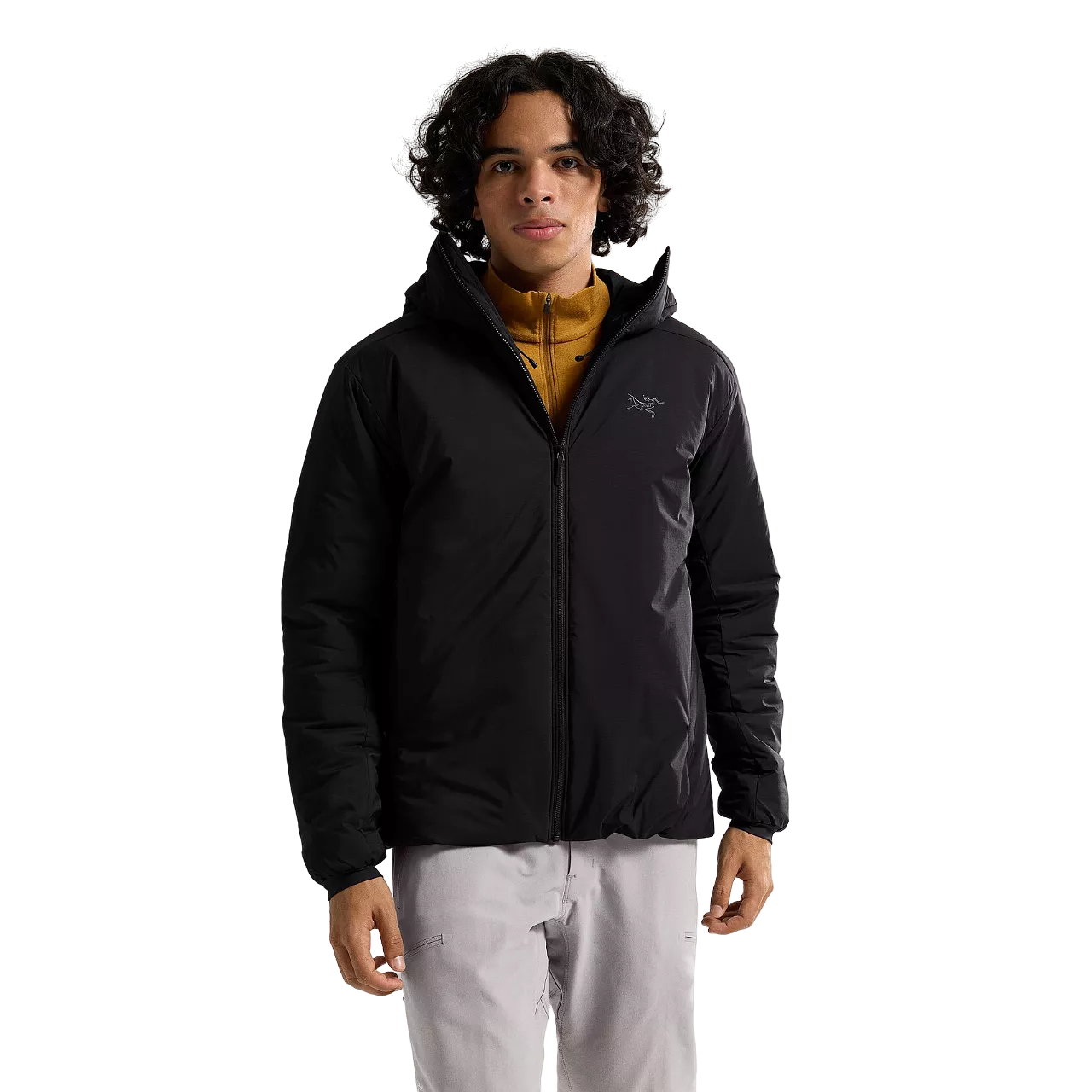 Arc'Teryx Men's Atom Heavyweight Hoody