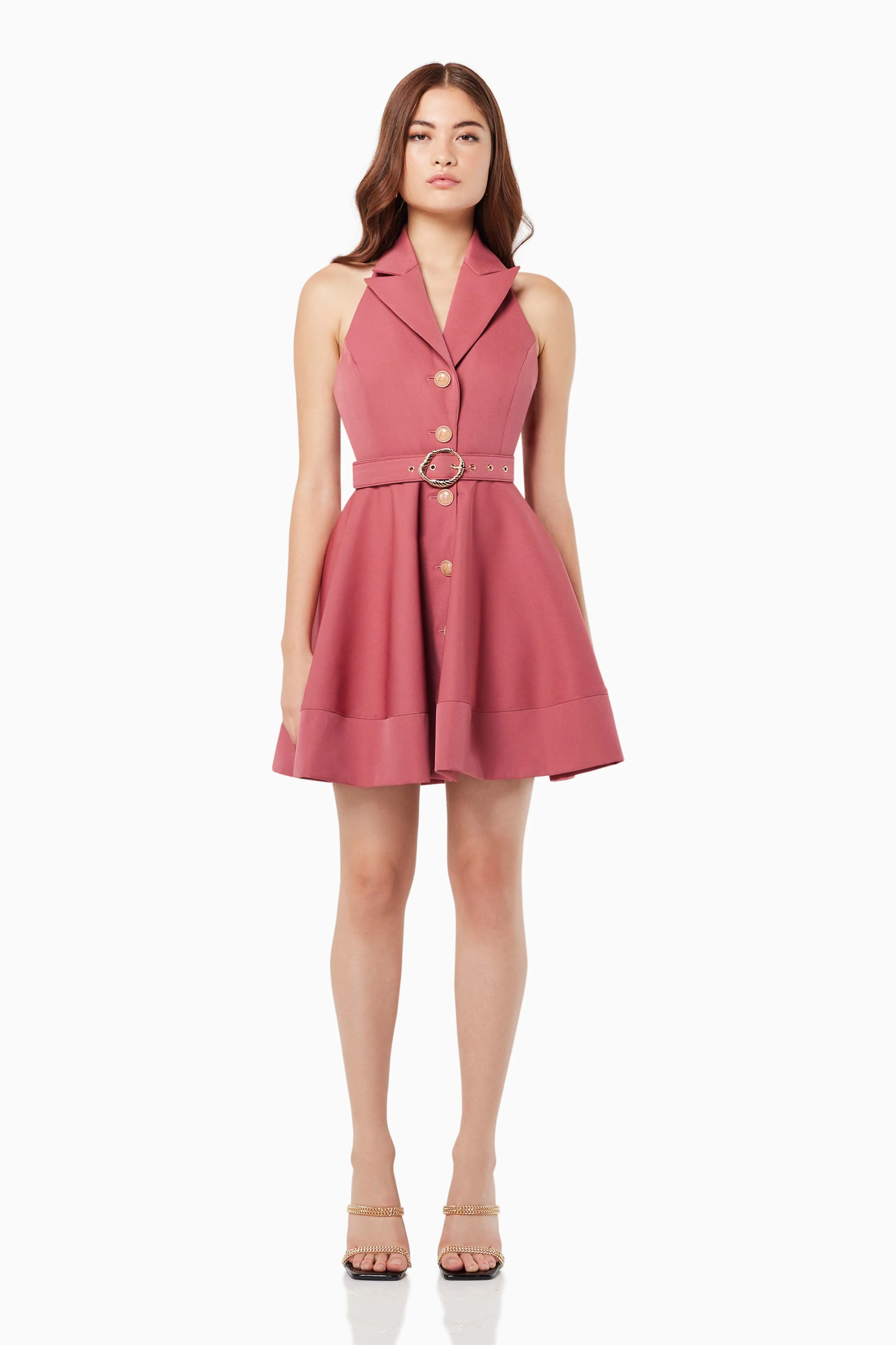 Elliatt Collective Repertory Dress - Rosewood