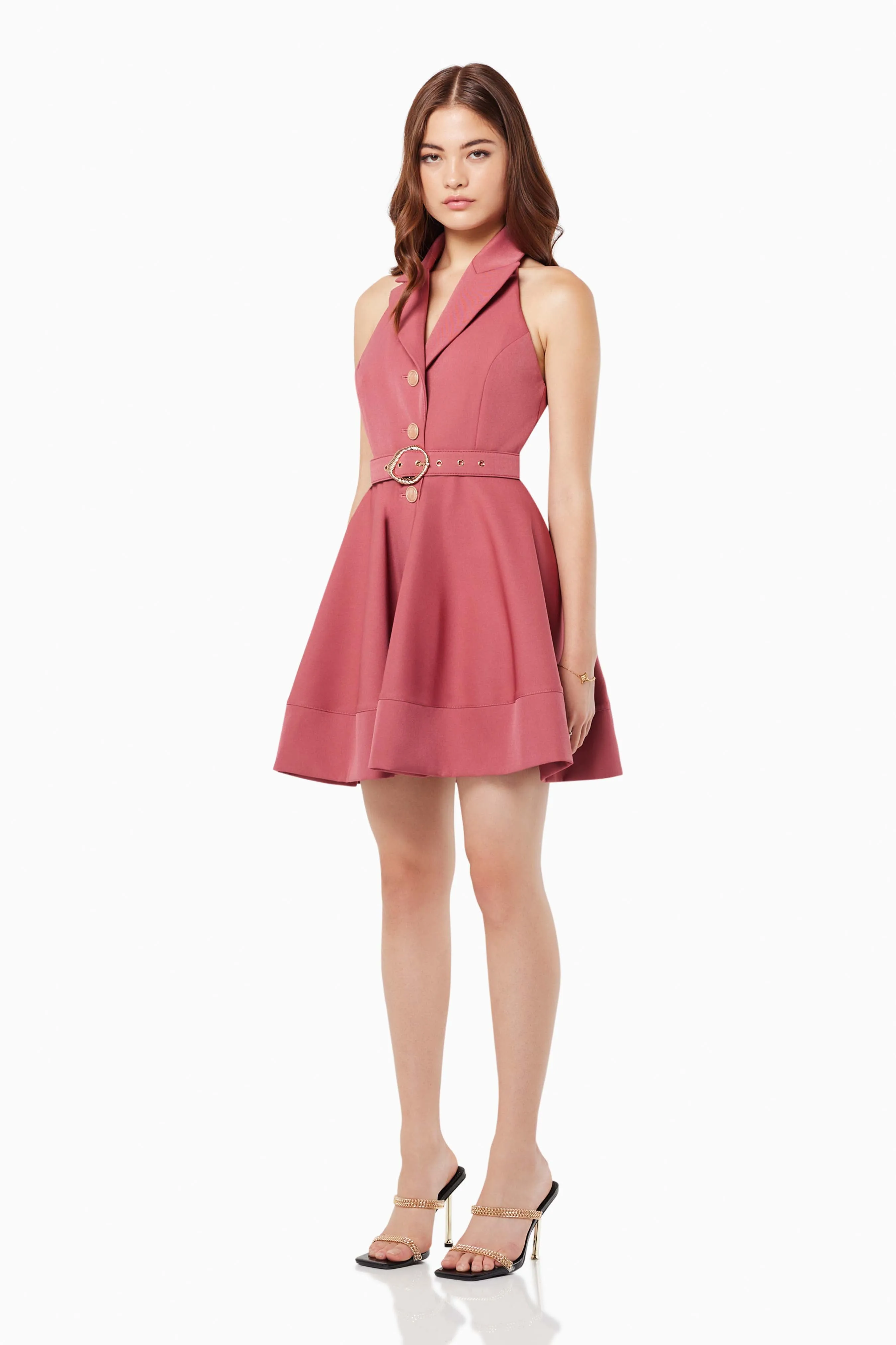 Elliatt Collective Repertory Dress - Rosewood