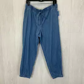 Pants Joggers By J Crew O  Size: L