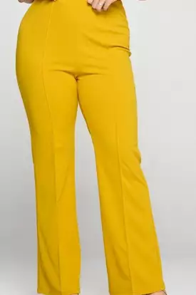 Yellow or Black Techno Crepe Front Seam Pants